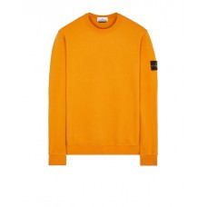 Stone Island 62420 Autumn Winter Fleecewear Rust