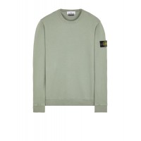 Stone Island 62420 Autumn Winter Fleecewear Sage Green