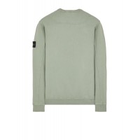 Stone Island 62420 Autumn Winter Fleecewear Sage Green