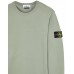 Stone Island 62420 Autumn Winter Fleecewear Sage Green