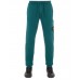 Stone Island 64551 Fall Winter Pants Cotton Fleece Bottle Green