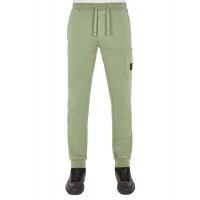 Stone Island 64551 Fall Winter Pants Cotton Fleece Sage Green