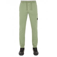 Stone Island 64551 Fall Winter Pants Cotton Fleece Sage Green