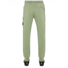 Stone Island 64551 Fall Winter Pants Cotton Fleece Sage Green