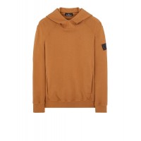 Stone Island 60219 Hooded Sweatshirt Embroidery Cotton Fleece Tobacco