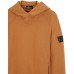 Stone Island 60219 Hooded Sweatshirt Embroidery Cotton Fleece Tobacco