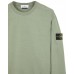 Stone Island 63750 Autumn Winter Hoodie Fleecewear Sage Green