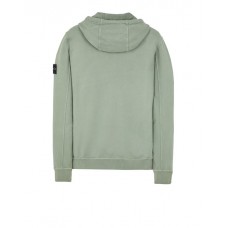 Stone Island 61620 Autumn Winter Sweatshirt Fleecewear Sage Green