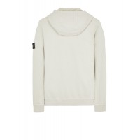 Stone Island 61620 Autumn Winter Sweatshirt Fleecewear Stucco